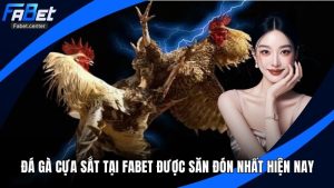 Đá Gà Cựa Sắt Tại Fabet