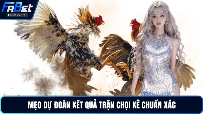 Mẹo dự đoán kết quả trận chọi kê chuẩn xác