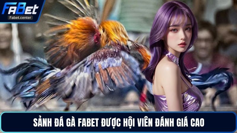 Sảnh đá gà Fabet được hội viên đánh giá cao